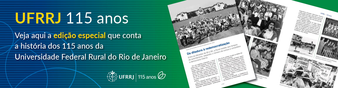 Acesse o arquivo em PDF