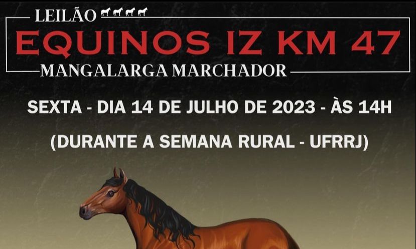 Leilão de Equinos IZ KM 47